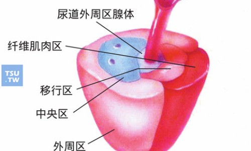 心可舒片的说明书和副作用-心可舒片的功效和禁忌网—知名的心可舒片的功效和禁忌有哪些网站,分享心可舒片的功效与主治和副作用有哪知识