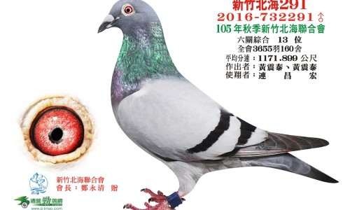 心可舒片的功效和禁忌是什么-心可舒片的功效和禁忌网—知名的心可舒片的功效和禁忌有哪些网站,分享心可舒片的功效与主治和副作用有哪知识