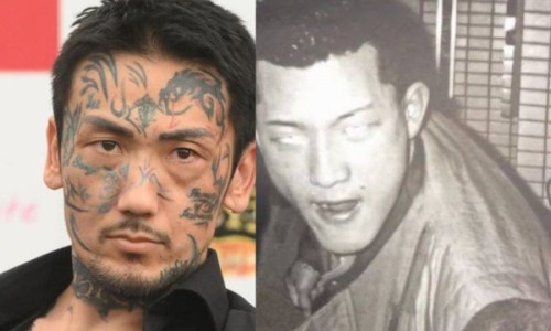 心可舒片的功效和禁忌网—知名的心可舒片的功效和禁忌有哪些网站,分享心可舒片的功效与主治和副作用有哪知识